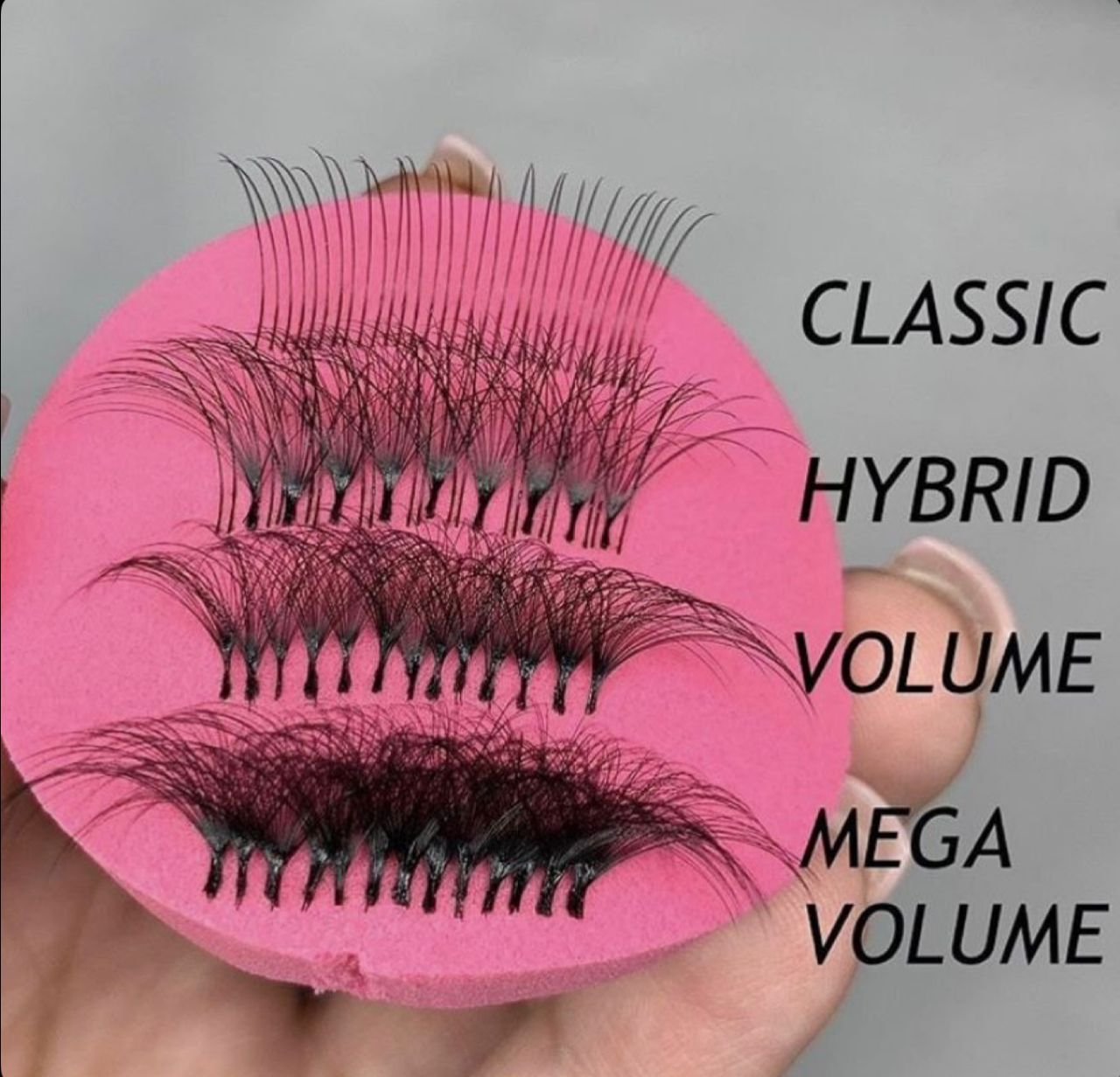 img lash